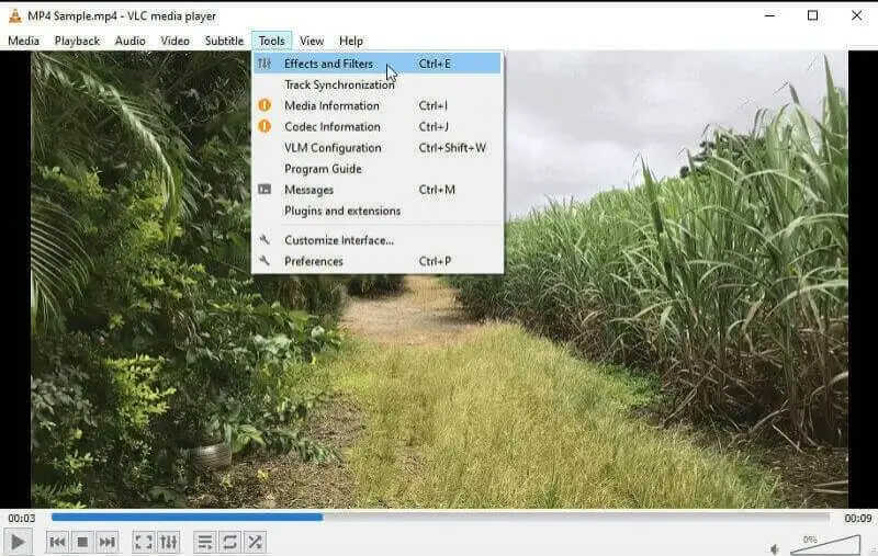 VLC 1